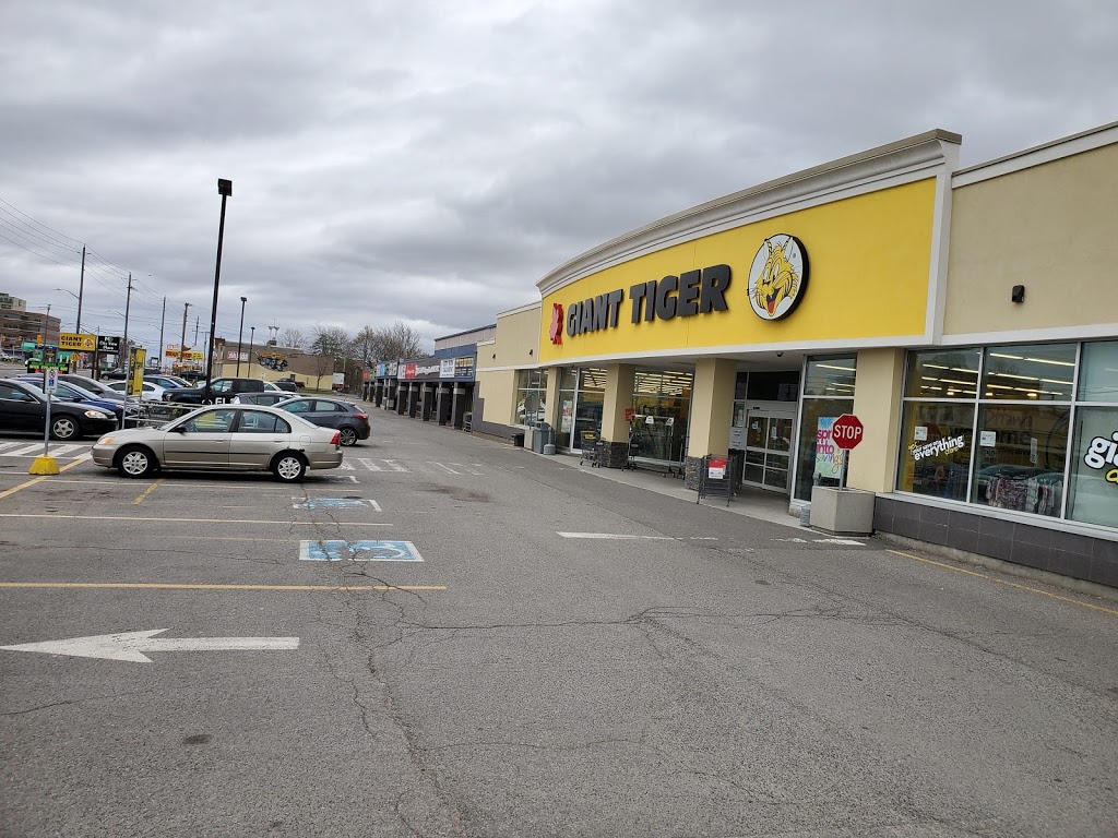City View Plaza | 1508 Merivale Rd, Nepean, ON K2G 3J6, Canada | Phone: (416) 866-3033 ext. 25125
