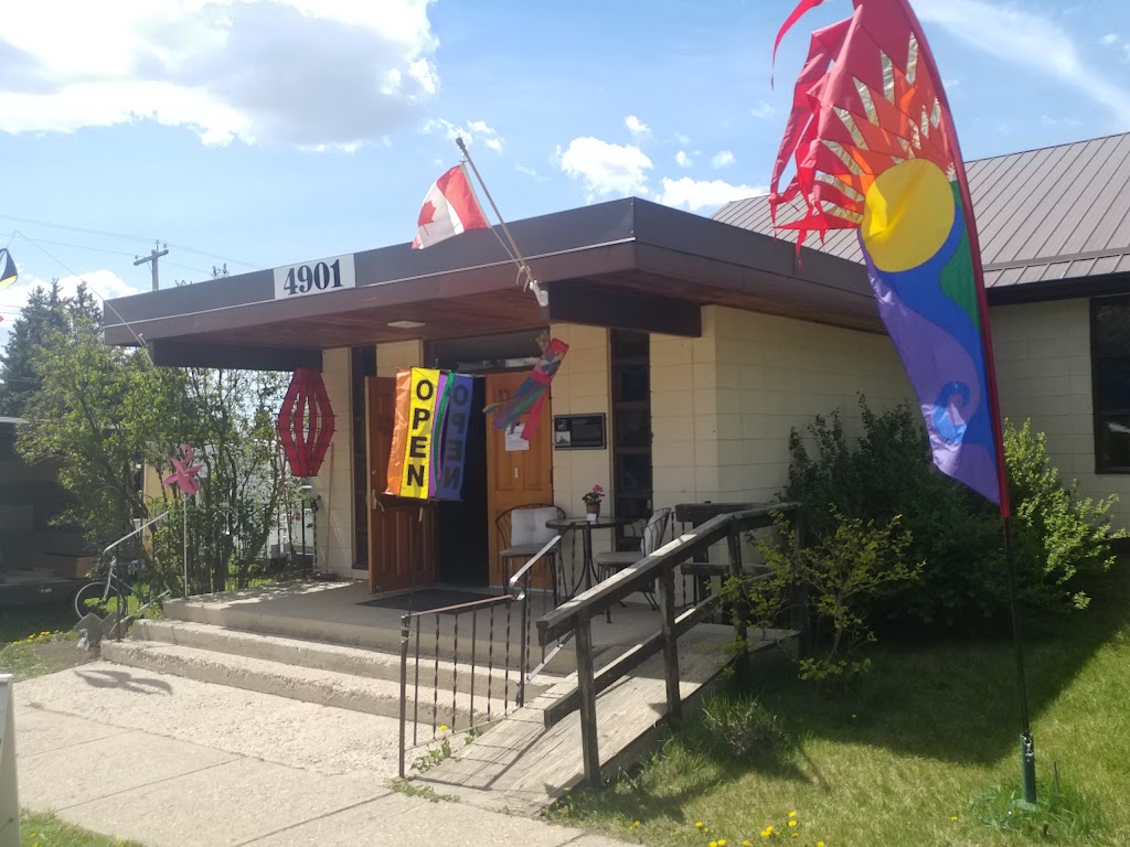 The Kite Guys | 4901 50 Ave, Bentley, AB T0C 0J0, Canada | Phone: (403) 658-5483