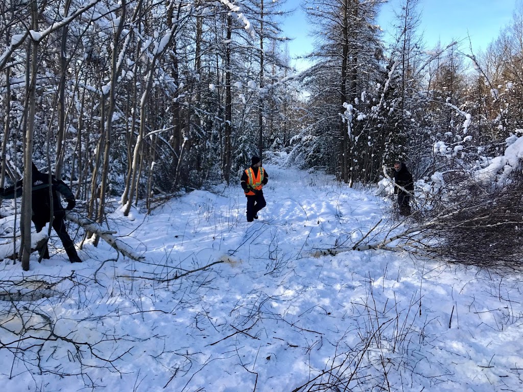 Club Aventure-Quad Québec | C.P. 34043, Québec, QC G1G 6P2, Canada | Phone: (418) 841-9873