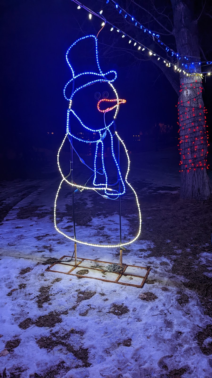 Lions Festival of Lights | 24th Avenue Northwest &, 14 St NW, Calgary, AB T2L 0R6, Canada | Phone: (403) 651-6689