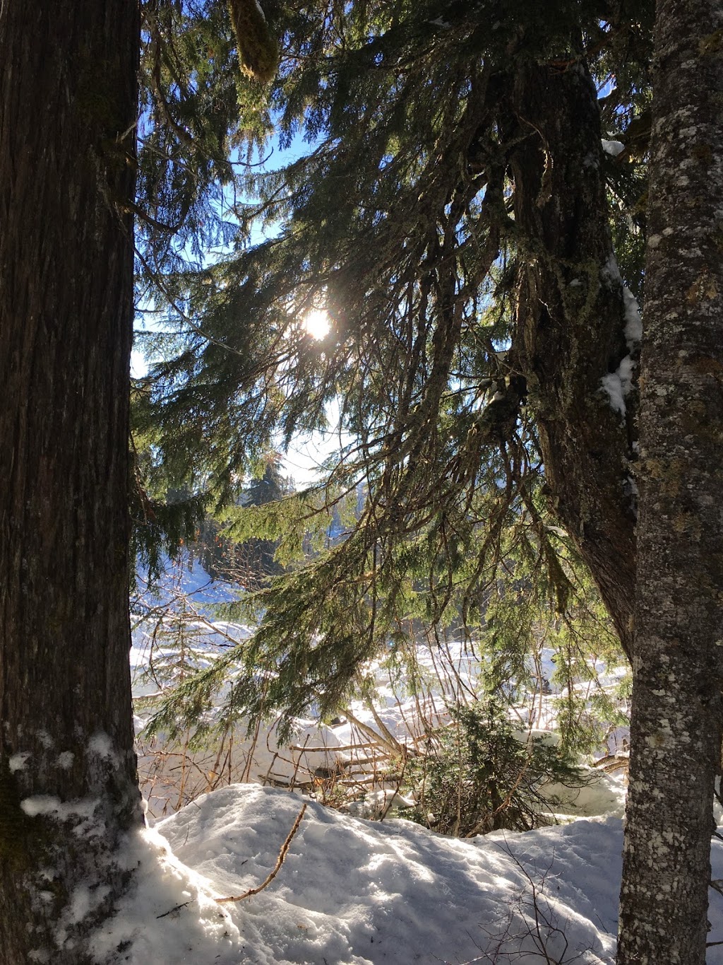 Ski Callaghan | 5 Callaghan Rd, Whistler, BC V0N 1B8, Canada | Phone: (604) 964-0060