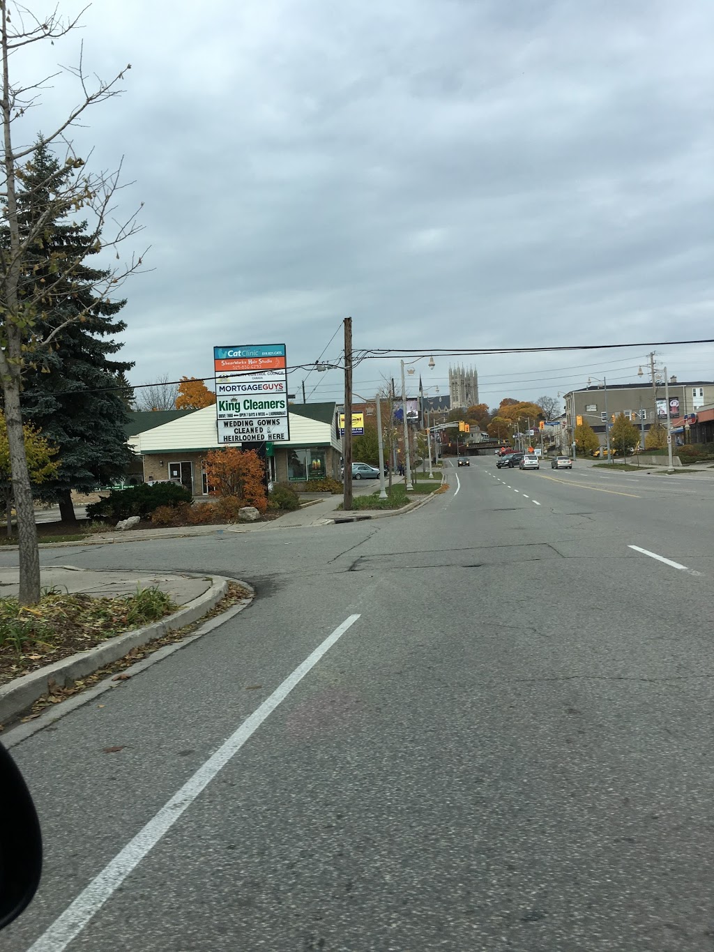 Guelph Cat Clinic | 15 Surrey St W #4, Guelph, ON N1H 3R3, Canada | Phone: (519) 821-2287