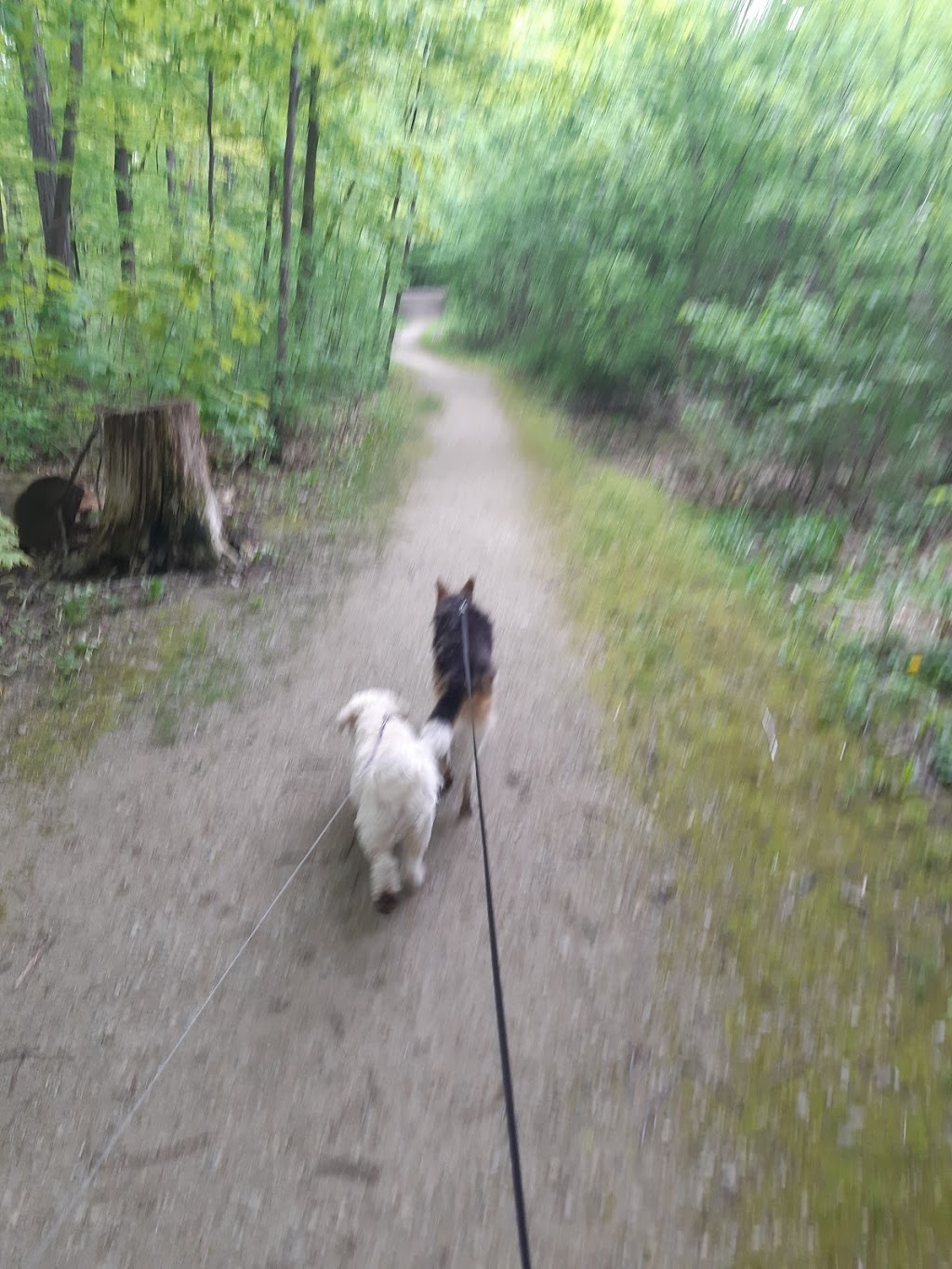 Deer Run Park | Unnamed Road, Mississauga, ON L5C, Canada