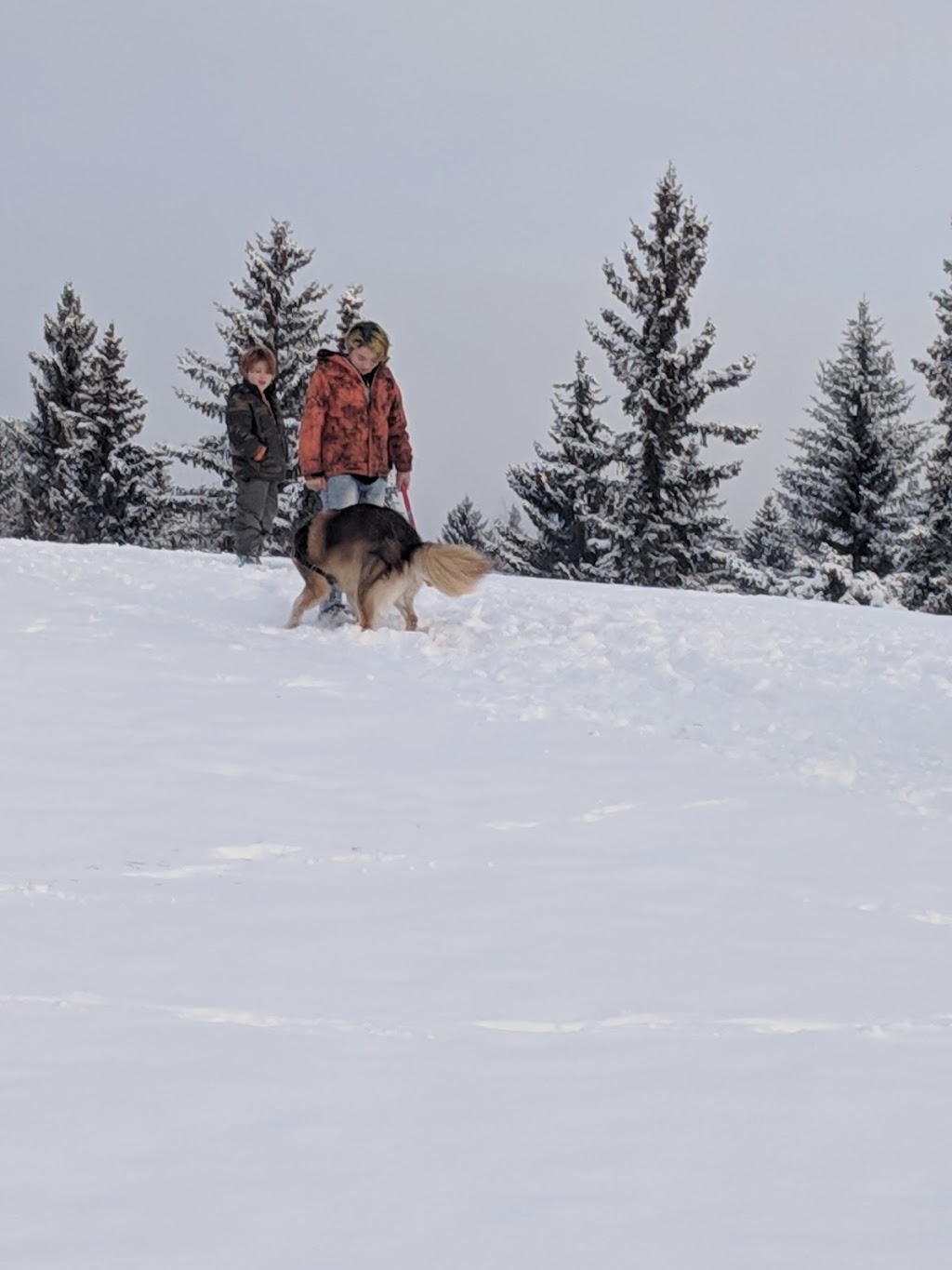 Dog Off Leash Park | Calgary, AB T2W 1W3, Canada