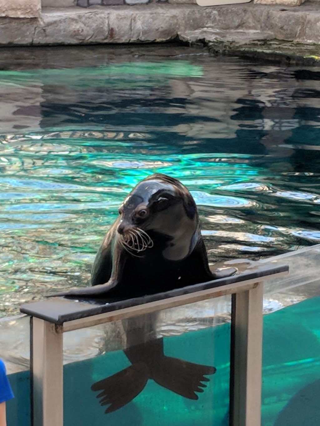 Marine Life | 8882 170 St NW, Edmonton, AB T5T 4J2, Canada | Phone: (780) 444-5320