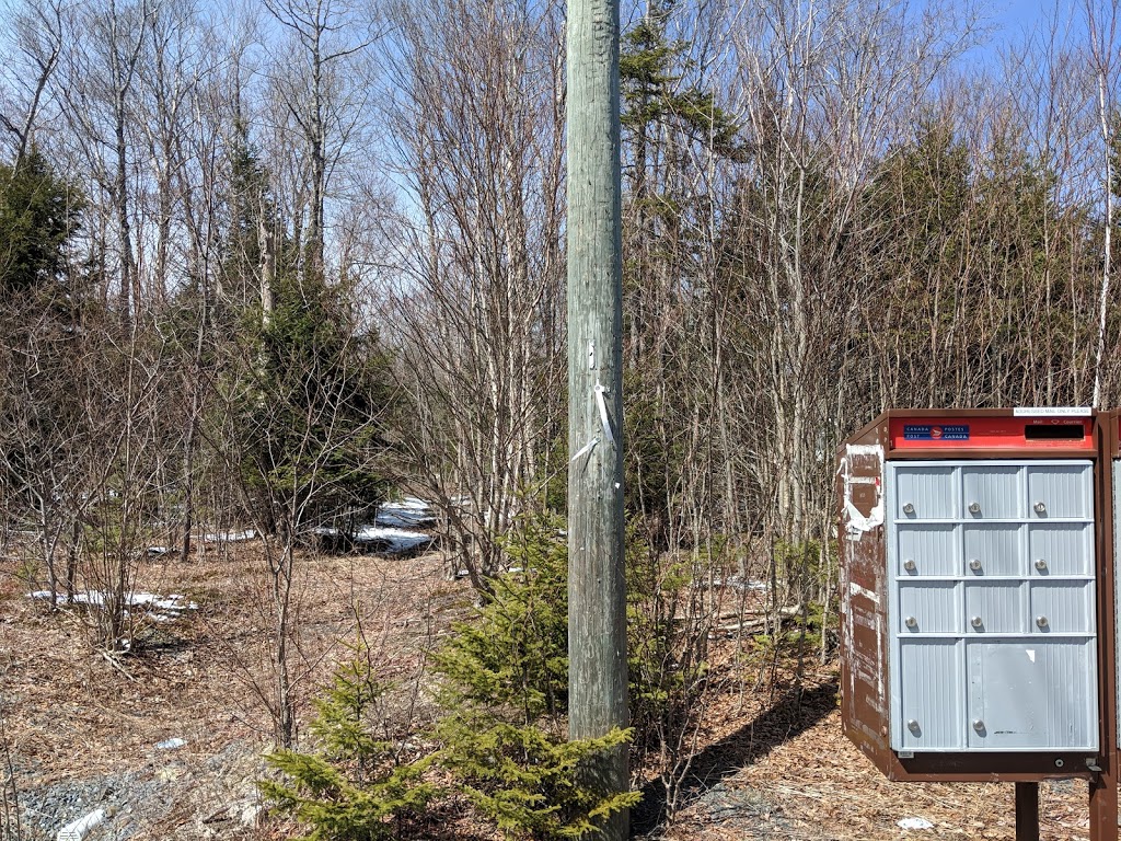 Future Tattenham Crescent Park and Trail | 281 Tattenham Crescent, Hammonds Plains, NS B4B 1V2, Canada