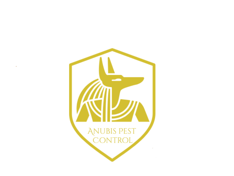 Anubis Pest Control | London, ON N6G 2H4, Canada | Phone: (226) 700-4302