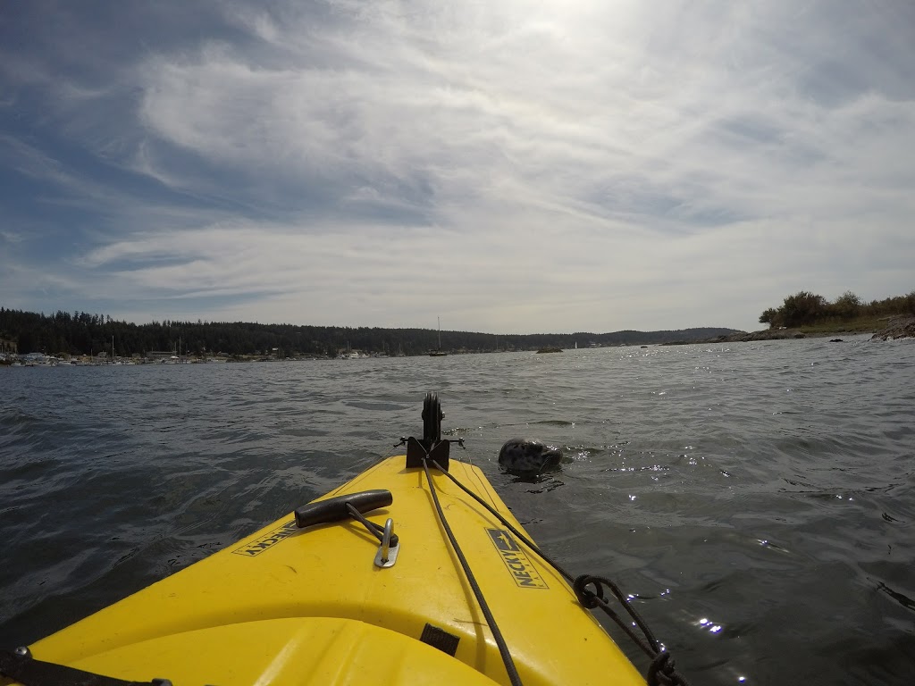 Fisherman Bay Preserve | Chestnut Ln, Lopez Island, WA 98261, USA