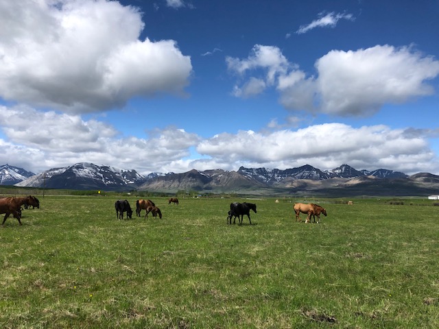 Rocking Heart Ranch Ltd. | Waterton Lakes National Park of Canada, Waterton Park, AB T0K 2M0, Canada | Phone: (403) 894-1005