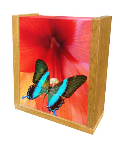 VIP MEMORIAL-URNES FUNÉRAIRES | 189 Rue Fusey, Trois-Rivières, QC G8T 2W1, Canada | Phone: (819) 373-0029
