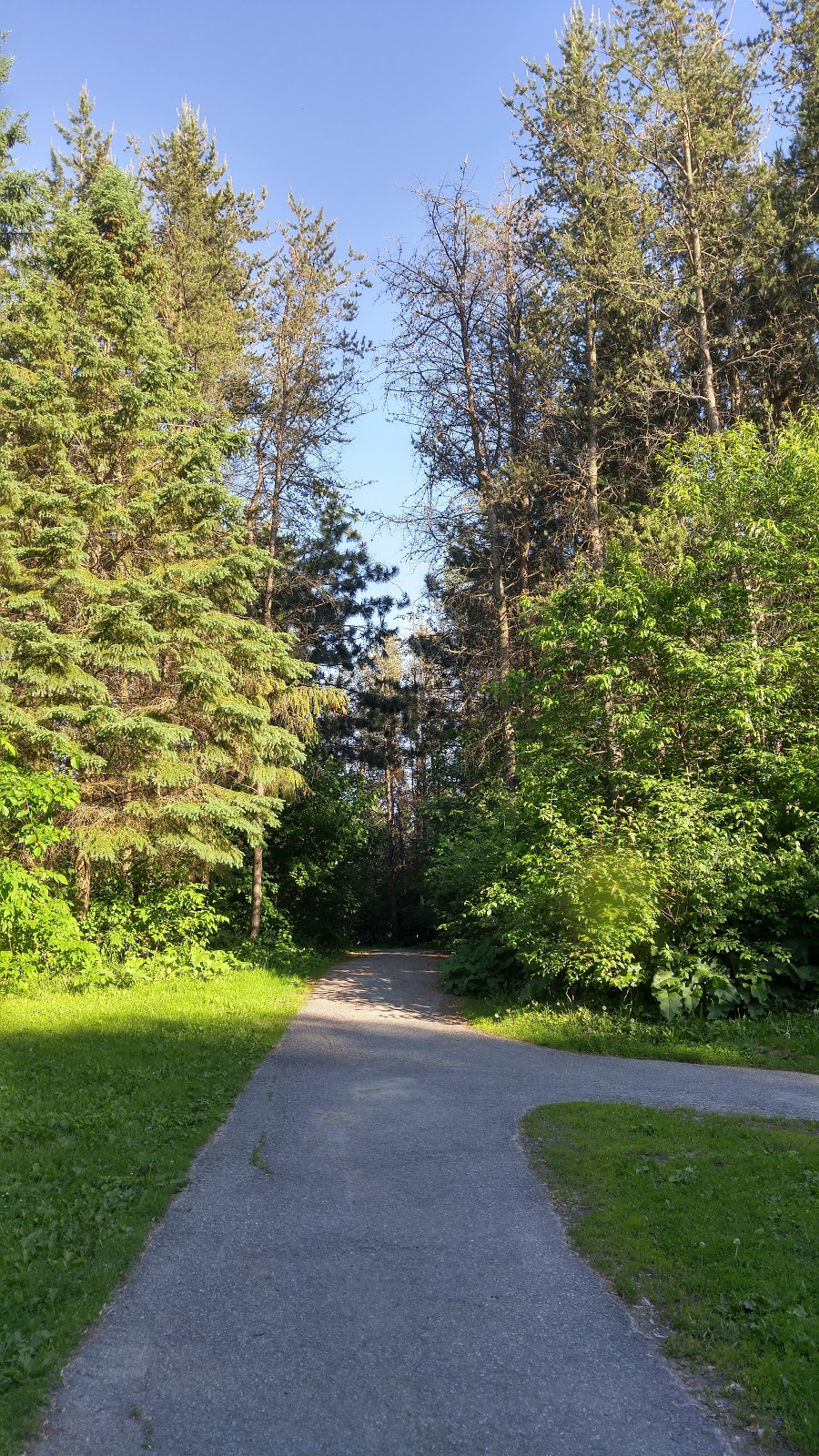 Clarence Maheral Park | 170 Castlefrank Rd, Kanata, ON K2L 2K6, Canada