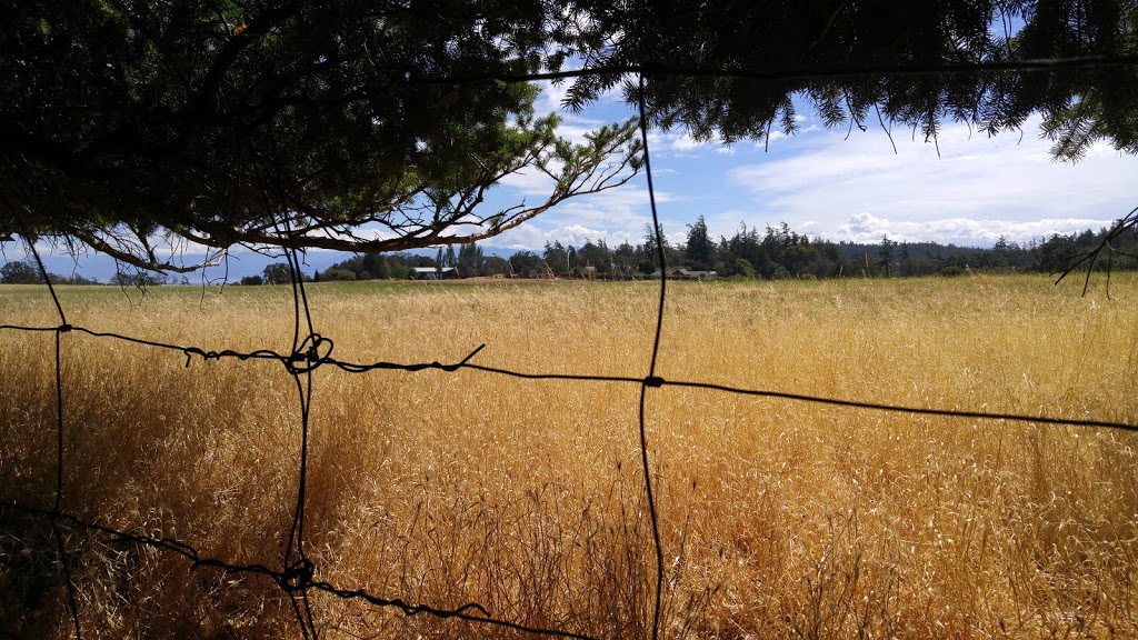 Devonian Regional Park - Main Parking Lot | 4749 William Head Rd, Victoria, BC V9C 3Y7, Canada