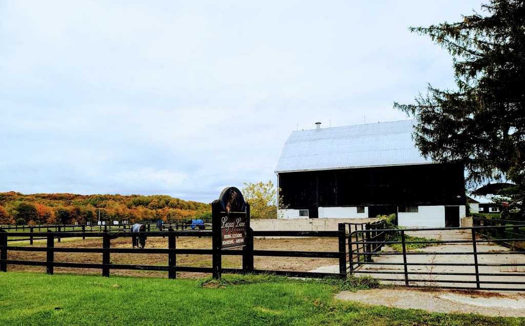 Legacy Lane Stables | 490 Old Barrie Rd E, Oro-Medonte, ON L0L 2E0, Canada | Phone: (705) 716-1124