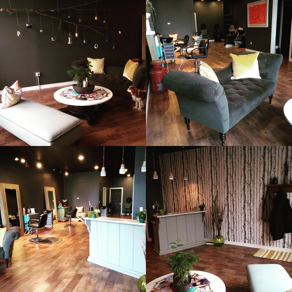 The Olive Branch Hair Studio | 1/2, 244 Talbot St, St Thomas, ON N5P 1B2, Canada | Phone: (519) 852-8735