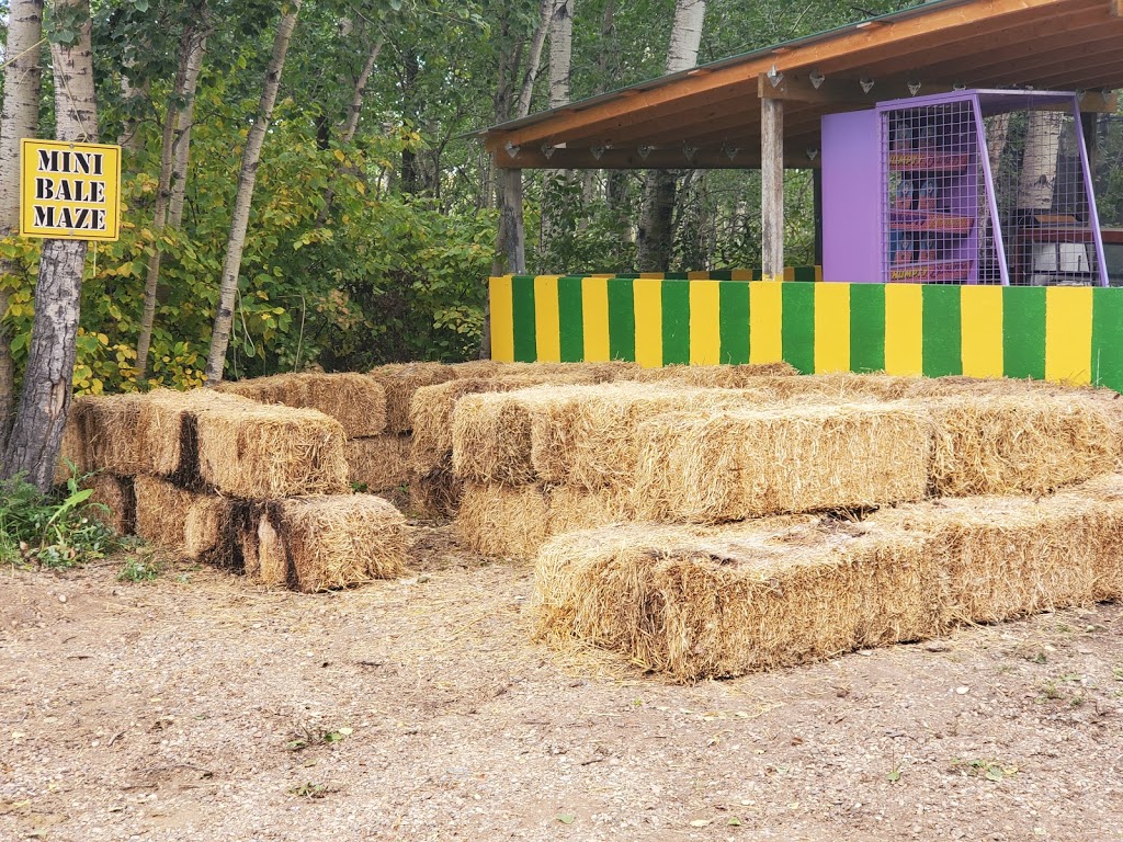 Paintball Paradise Prince Albert Inc. | Prince Albert, SK S6V 5S6, Canada | Phone: (306) 764-9444