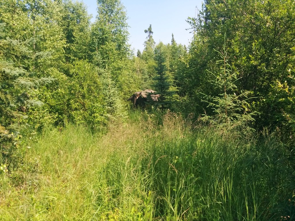 Goose Hummock Golf Resort | 23210 Township Rd 564, Gibbons, AB T0A 1N0, Canada | Phone: (780) 921-2444