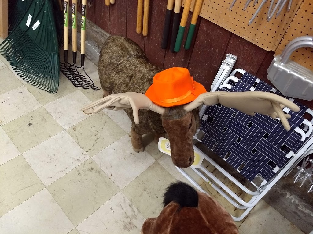 EVANSVILLE TRADING POST | 645 Evansville Rd, Brownington, VT 05860, USA | Phone: (802) 754-6305