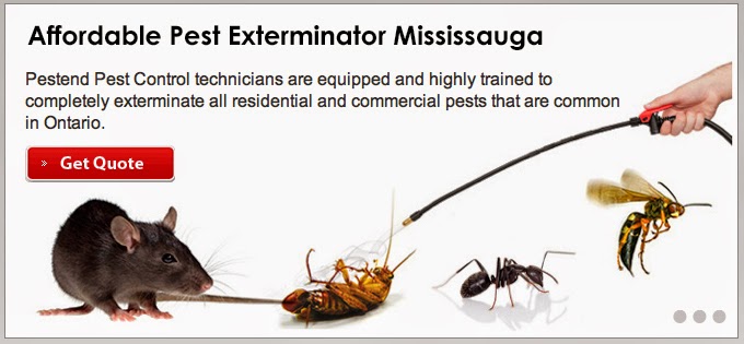 Pestend Pest Control | 4839 Dovehouse Dr, Mississauga, ON L5M 7K7, Canada | Phone: (416) 749-9206