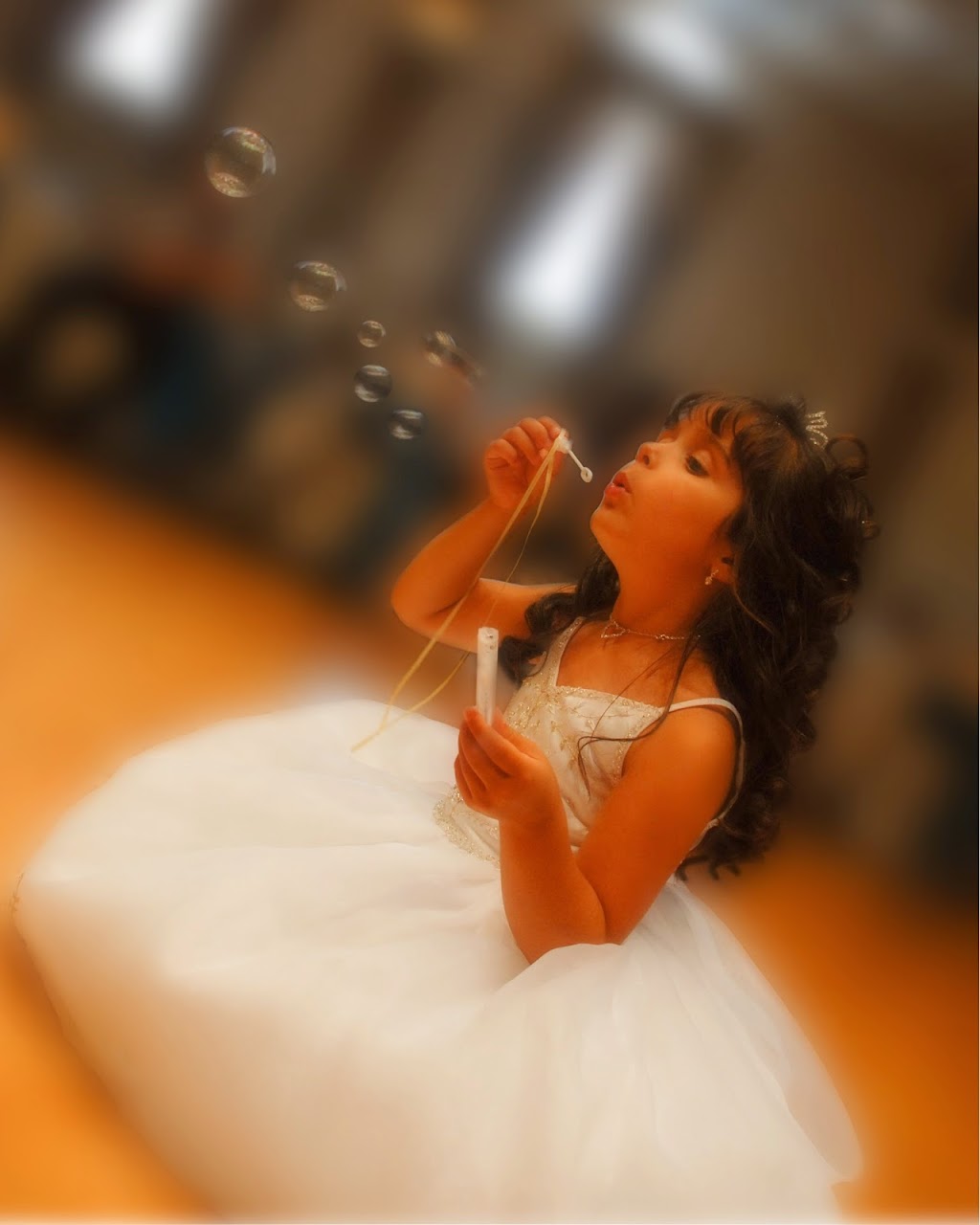 Accent Studios Photography | 48 Petersen St, Drumbo, ON N0J 1G0, Canada | Phone: (519) 496-0961