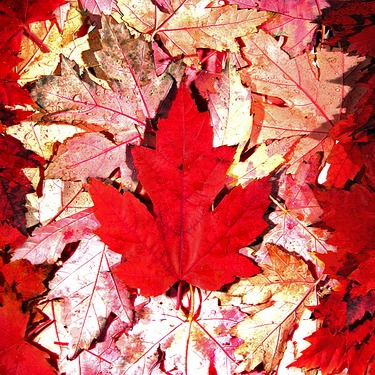St. Basils Church | 50 Palace St, Brantford, ON N3T 3W9, Canada | Phone: (519) 752-0361