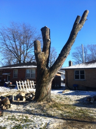 Huron Bay Tree Service | 79 Heather Lynn Blvd, Tara, ON N0H 2N0, Canada | Phone: (519) 934-3545