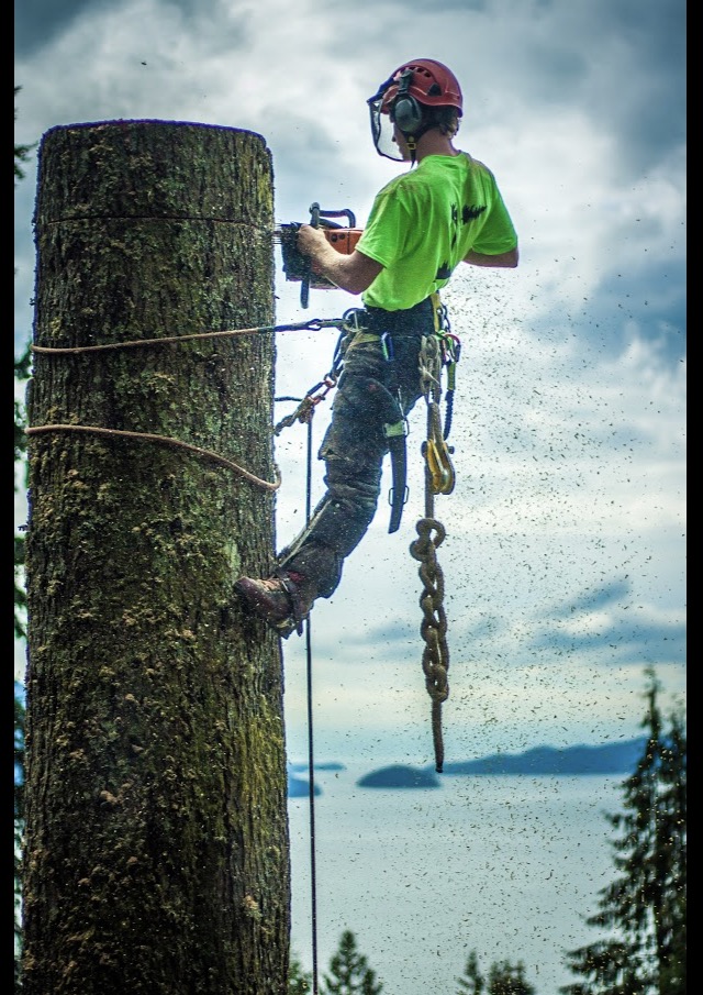 Windfirm Tree Services Ltd | Box 431, 38064 Cleveland Ave, Squamish, BC V8B 0A4, Canada | Phone: (604) 892-7587