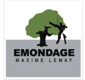 Émondage Maxime Lemay | 554 Rue du Versant-du-Ruisseau, Prévost, QC J0T 1R0, Canada | Phone: (514) 241-9536