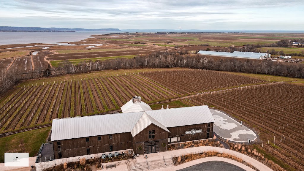 Drone & Co. | 63 Sand Pit Rd, Barton, NS B0W 1H0, Canada | Phone: (902) 308-0555