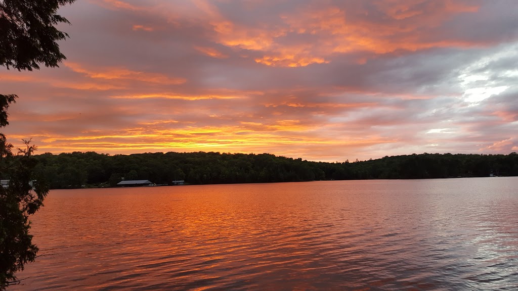Old Mill Marina | 1652 Russell Landing Rd, Dorset, ON P0A 1E0, Canada | Phone: (705) 766-2214