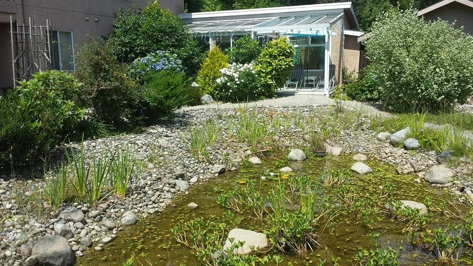 Oasis Rejuvenation Centre & Spa Retreat | 11734 Allan St, Mission, BC V4S 1C9, Canada | Phone: (604) 462-7780