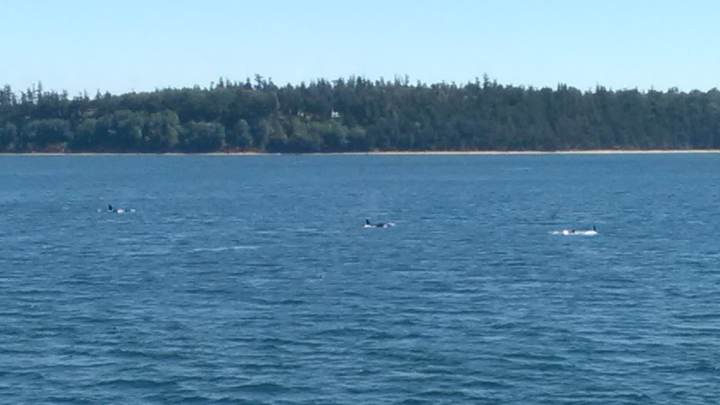Cone Islands State Park | Anacortes, WA 98221, USA