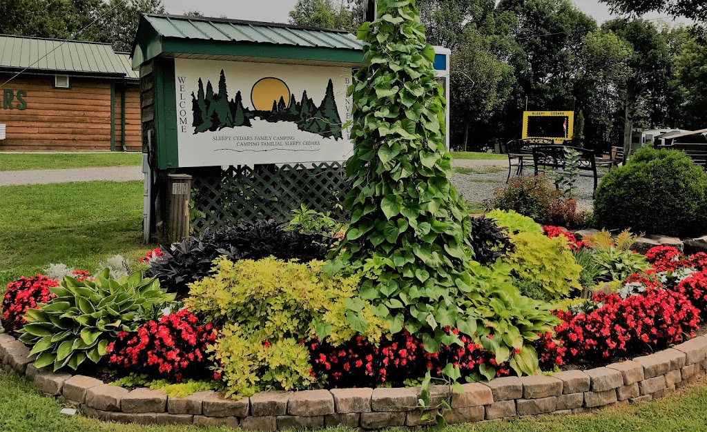 Sleepy Cedars Family Camping | 1893 Manotick Station Rd, Greely, ON K4P 1H2, Canada | Phone: (613) 821-0756