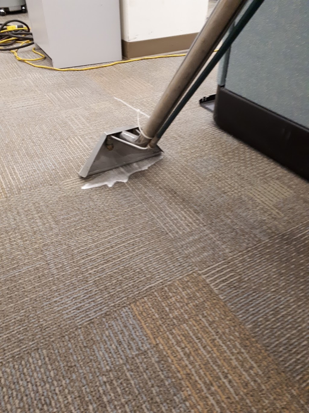 4 seasons carpet cleaning | 111 Colonnade Rd unit 204, Ottawa, ON K2E 7M3, Canada | Phone: (613) 321-3454