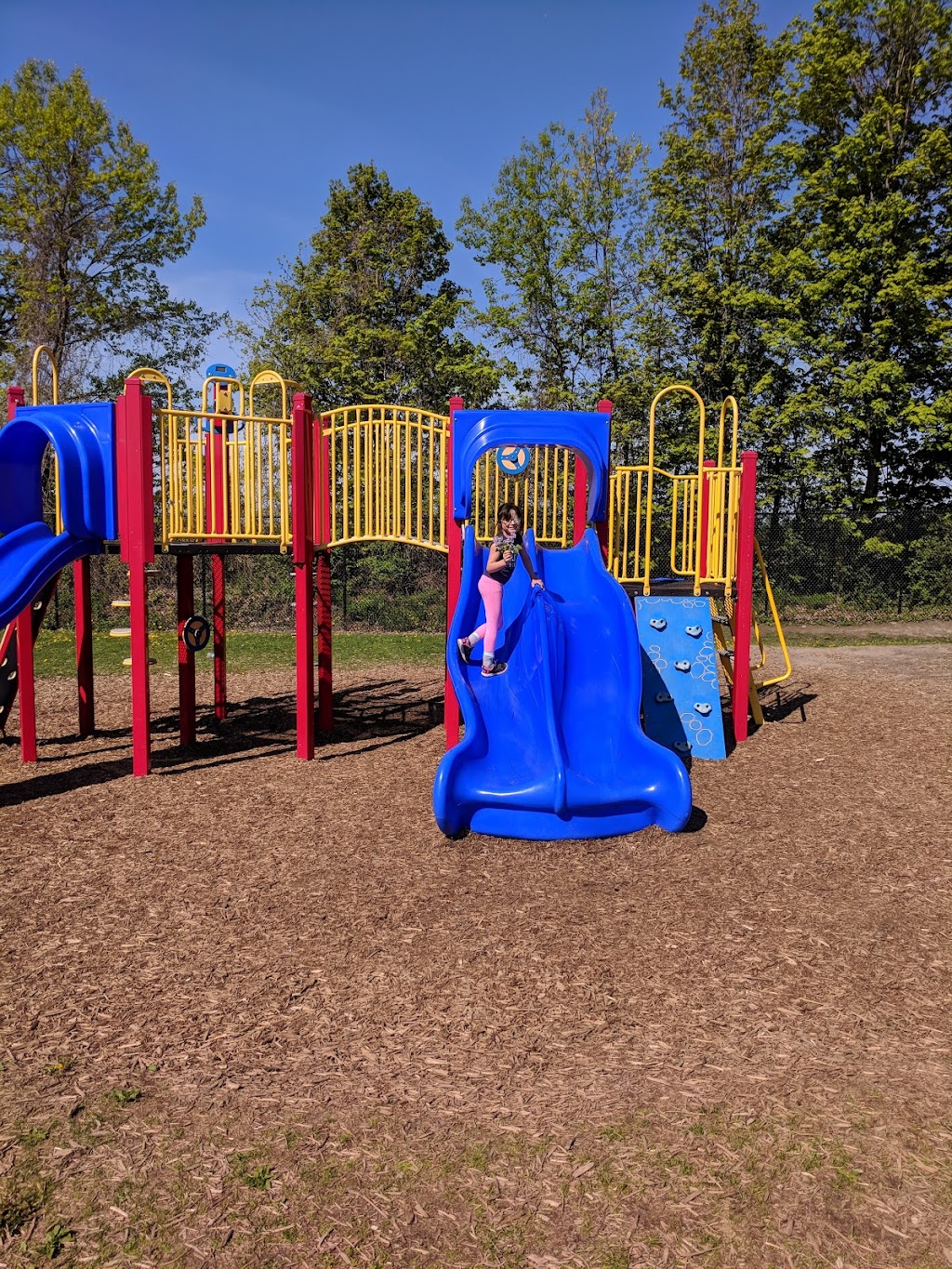 St Peter Catholic School | 15A Tripp Blvd, Trenton, ON K8V 6M2, Canada | Phone: (613) 392-6577