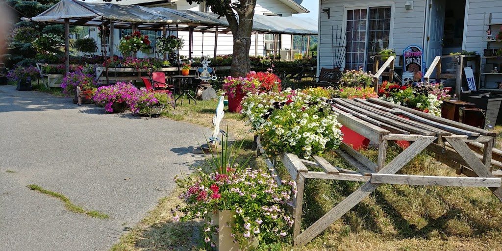 Scottys Coolbreeze | 9912 County Rd 42, Westport, ON K0G 1X0, Canada | Phone: (613) 273-7268
