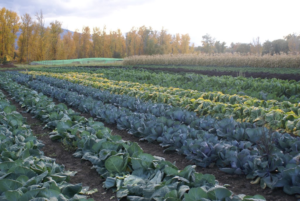 Kelowna Urban Farm and RV Park | 2075 K. L. O. Rd, Kelowna, BC V1W 2H9, Canada | Phone: (250) 870-8998