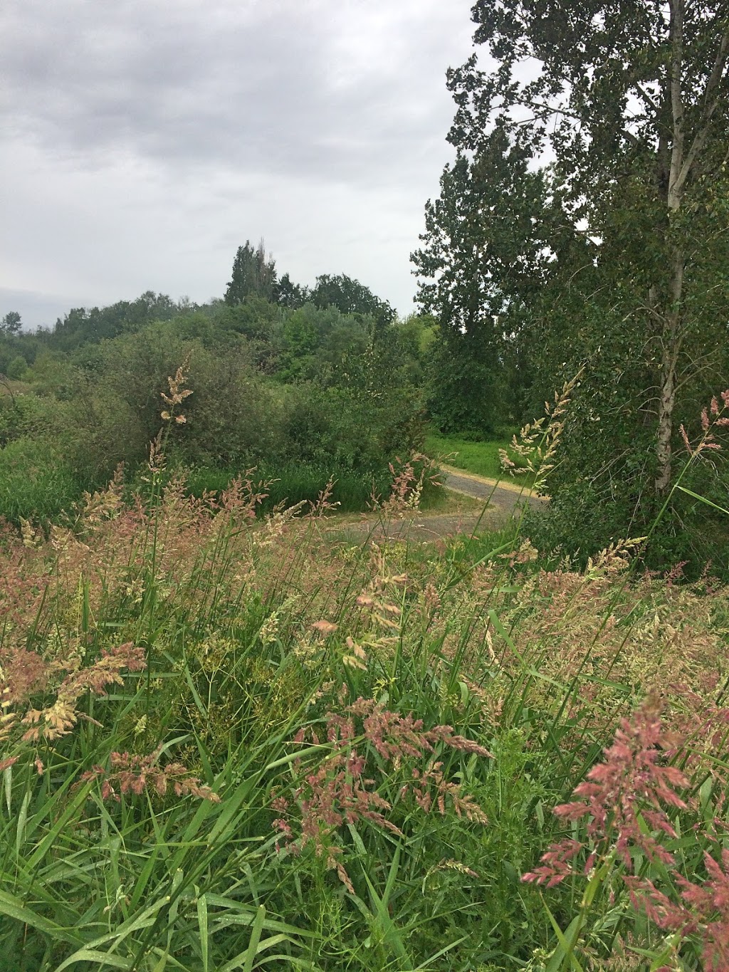 Grauer Lands | Richmond, BC, Canada