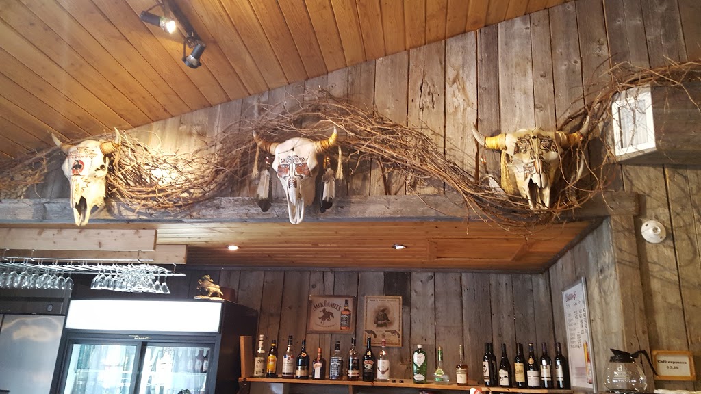 La Bisonnière | 490 rang Sainte-Élisabeth, Saint-Prosper, QC G0X 3A0, Canada | Phone: (418) 328-3669