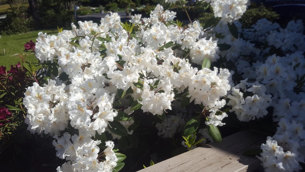 Bay Farm Bed & Breakfast Buck | 425 Franck St, Friday Harbor, WA 98250, USA | Phone: (360) 378-2908