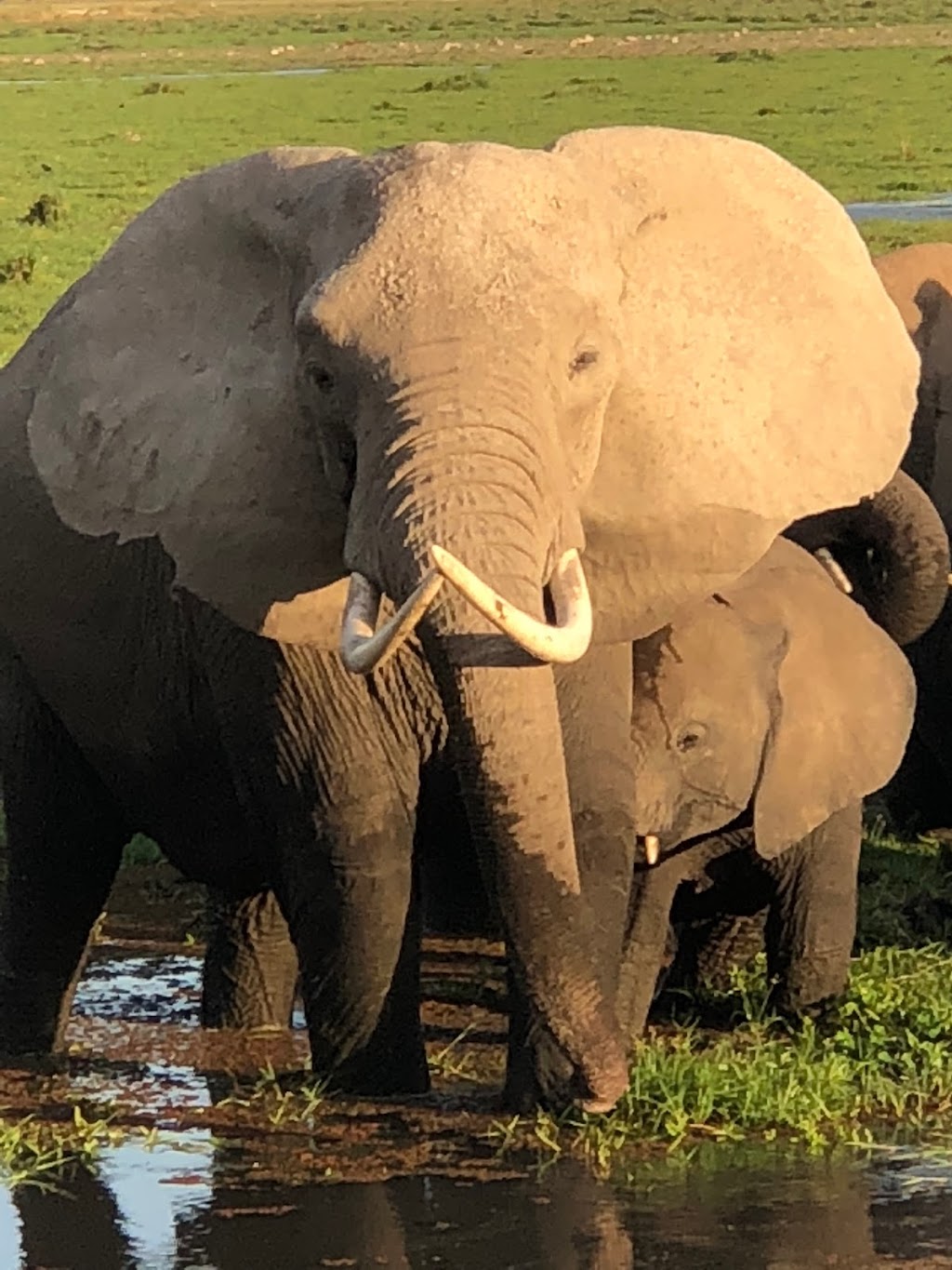 Bestway Tours & Safaris | 8678 Greenall Ave Office # 206, Burnaby, BC V5J 3M6, Canada | Phone: (604) 264-7378