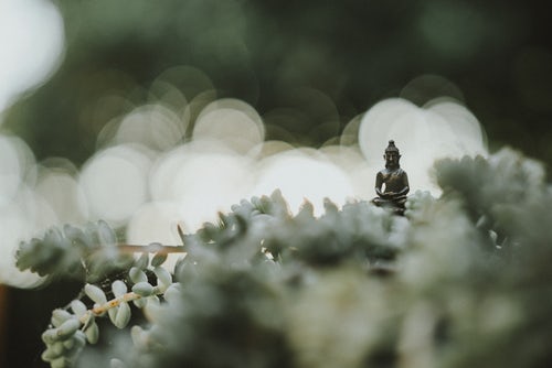 The Welltodo Life/On-Site Massage | 18701 66 Ave, Surrey, BC V3S 4P3, Canada | Phone: (604) 724-5286