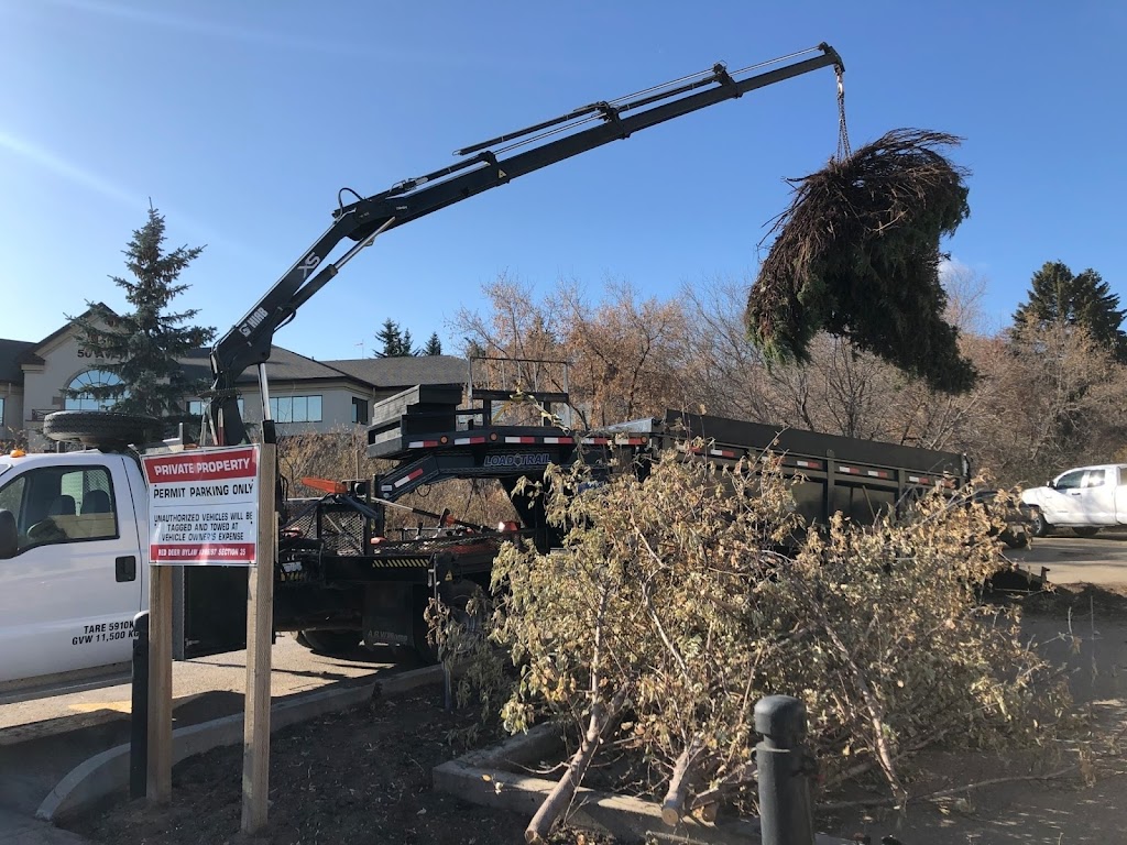 Graymac Yard Completions | 18 Roche St, Red Deer, AB T4P 3K8, Canada | Phone: (403) 396-0757