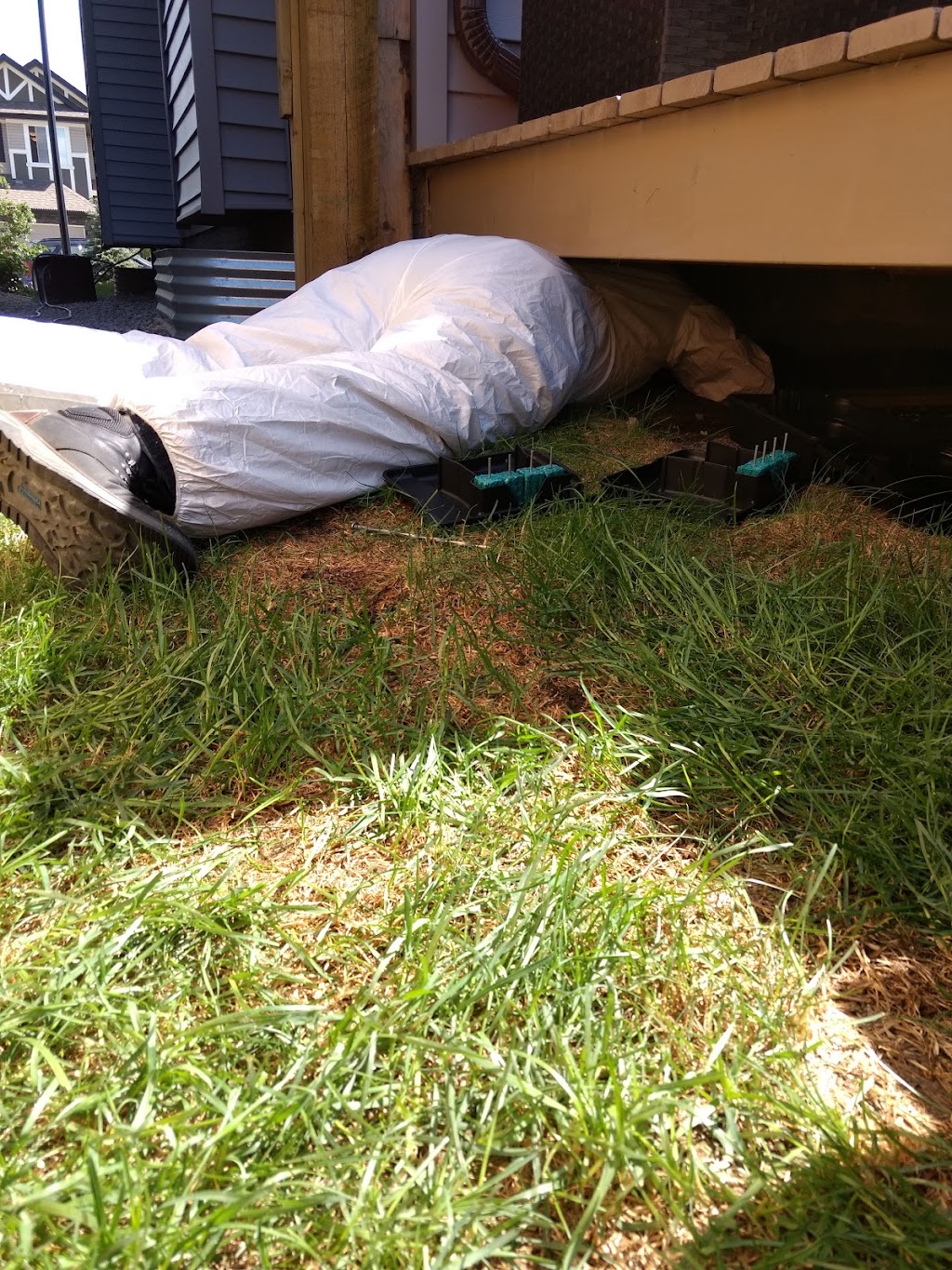 DSA Pest Control / Exterminators | 5239 53 Ave, Mundare, AB T0B 3H0, Canada | Phone: (780) 800-0791