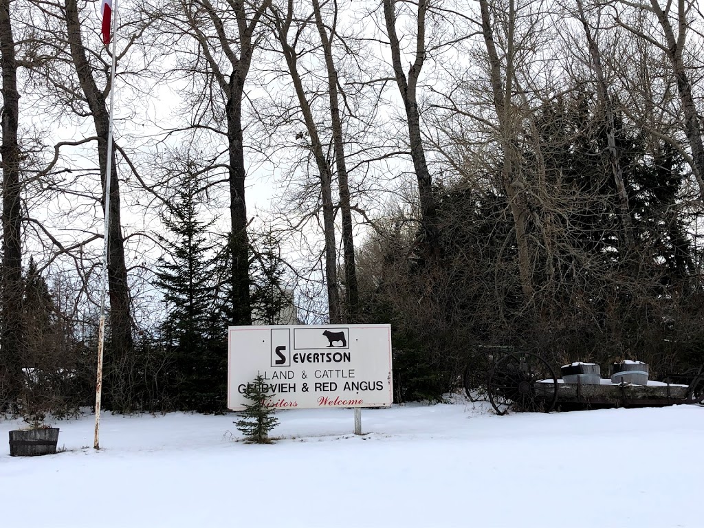 Severtson Land & Cattle | Range Rd 284A, Bowden, AB T0M 0K0, Canada | Phone: (403) 506-2174