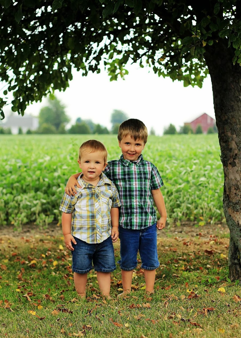 Stacey M Brock Photography | 855 Lawndale Ave, Kingsville, ON N9Y 3S5, Canada | Phone: (519) 733-6654