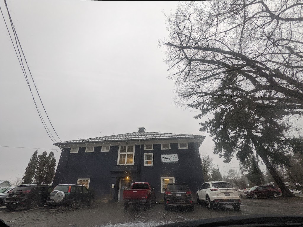 Adage Studio | 540 Cairnsmore St, Duncan, BC V9L 2A1, Canada | Phone: (250) 732-4049