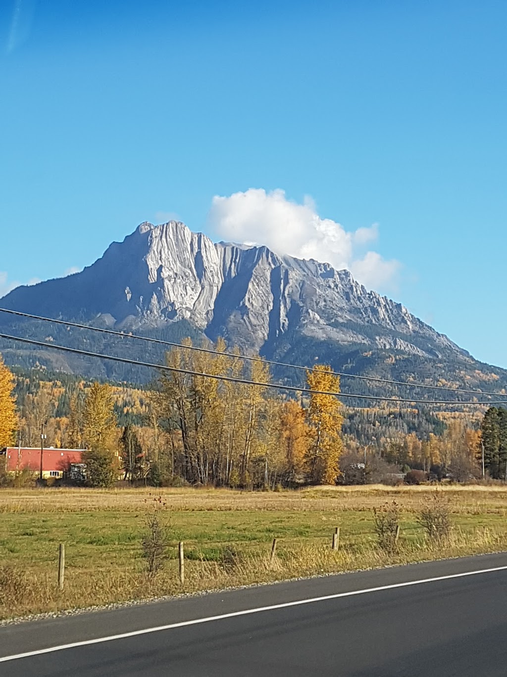 Fernie Garden Centre | 6283 Olivia Rd, Fernie, BC V0B 1M5, Canada | Phone: (250) 423-3666