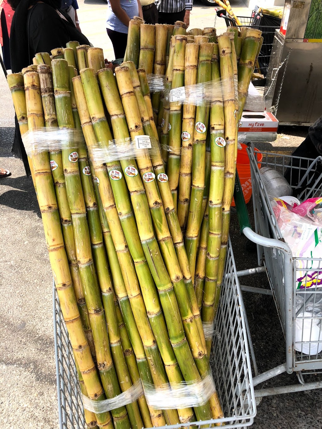 Indian Punjabi Bazaar | 115 Father Tobin Rd, Brampton, ON L6R 0W9, Canada | Phone: (905) 789-5658