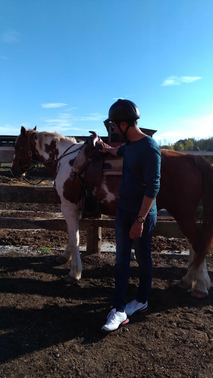 HorsePlay Niagara | 11061 Ellsworth Rd N, Port Colborne, ON L3K 5V4, Canada | Phone: (905) 834-2380