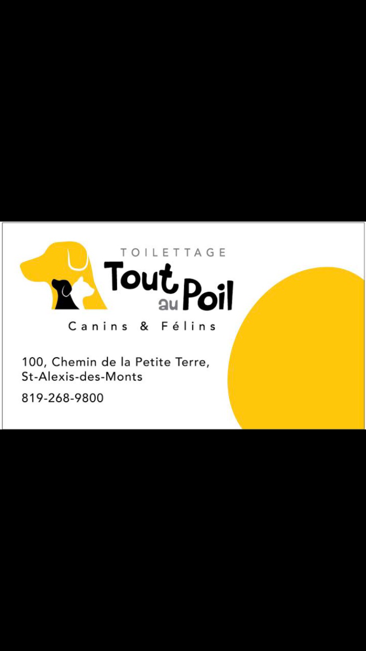 Toilettage Tout au poil | 100 Rue de la Petite-Terre, Saint-Alexis-des-Monts, QC J0K 1V0, Canada | Phone: (819) 268-9800